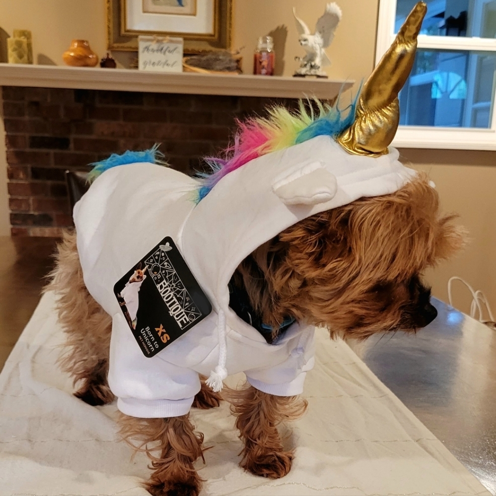 🐶 2x Host Pick!🧡 Doggo Unicorn Hoodie XS